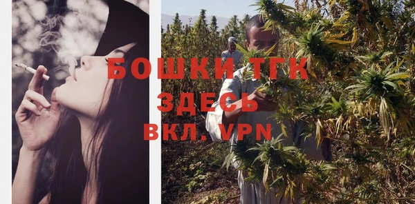амф Бронницы