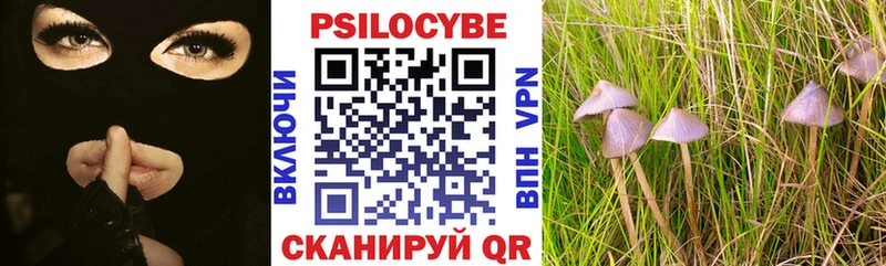 Псилоцибиновые грибы Cubensis  Королёв 